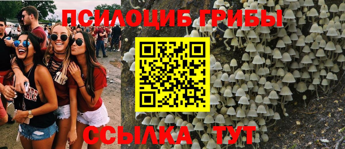 Псилоцибиновые грибы Cubensis  Вход с VPN  Фрязино 