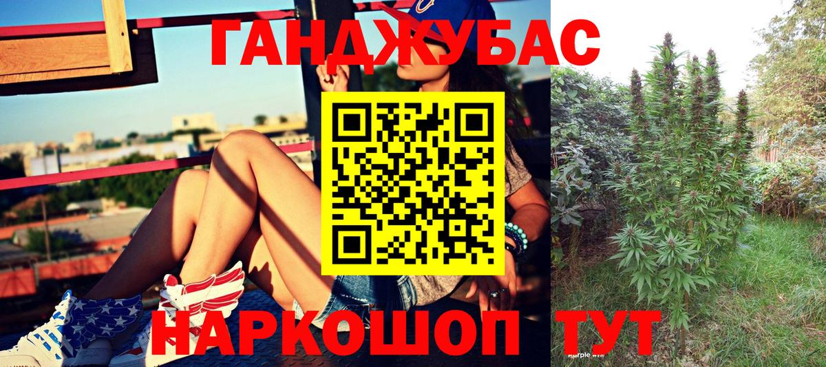 Бошки Шишки план Фрязино