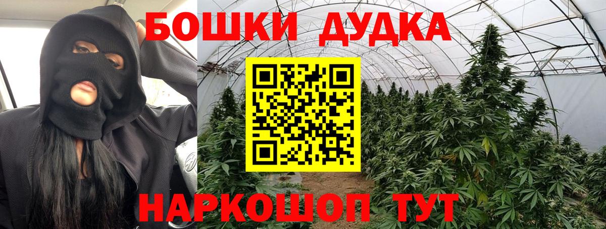 Каннабис MAZAR  Каннабис семена  Конопля AK-47  Шишки марихуана ГИДРОПОН  Вход с VPN  Фрязино 